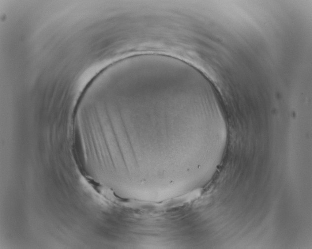 X0000088391527200706191320