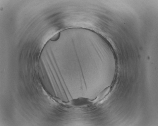 X0000088391529200706191320