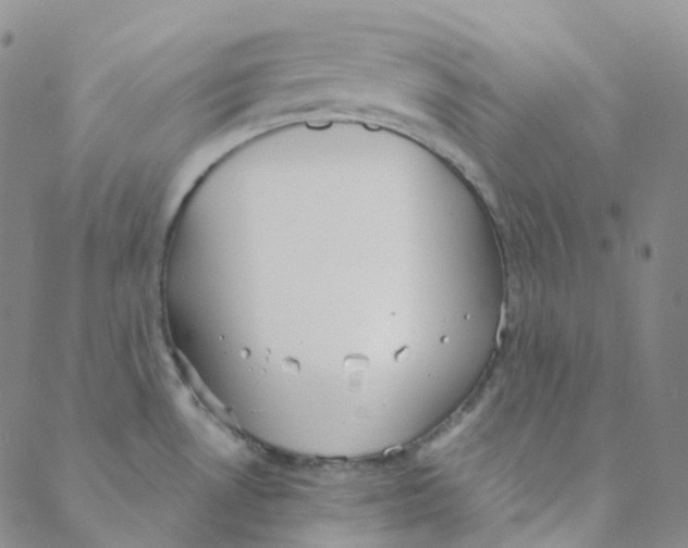 X0000088391530200706191320