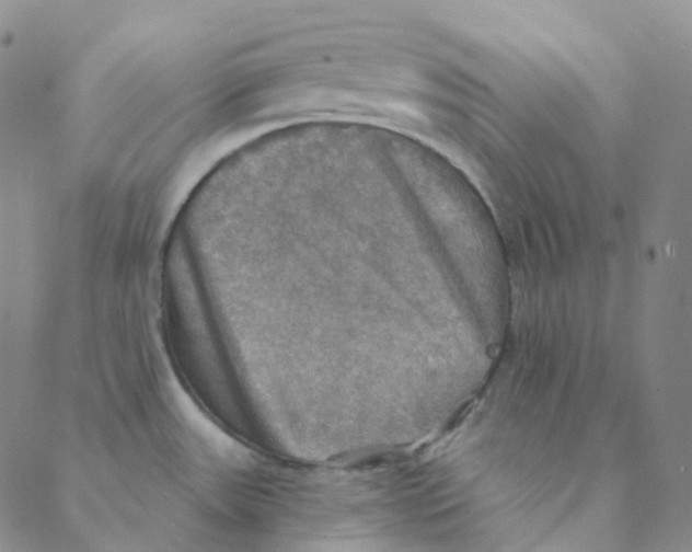 X0000088391531200706191320