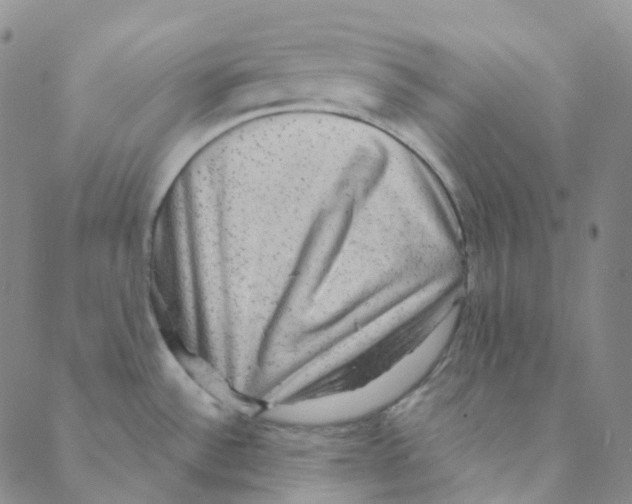 X0000088391532200706191320