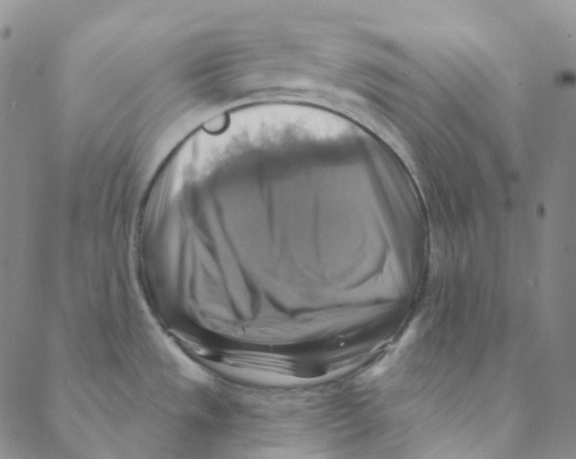 X0000088391533200706191320