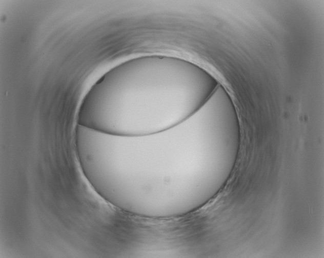 X0000088391536200706191320