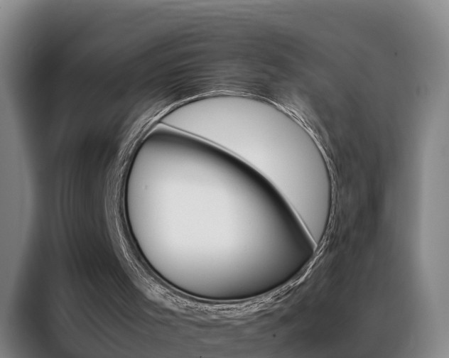X0000088400001200705220831