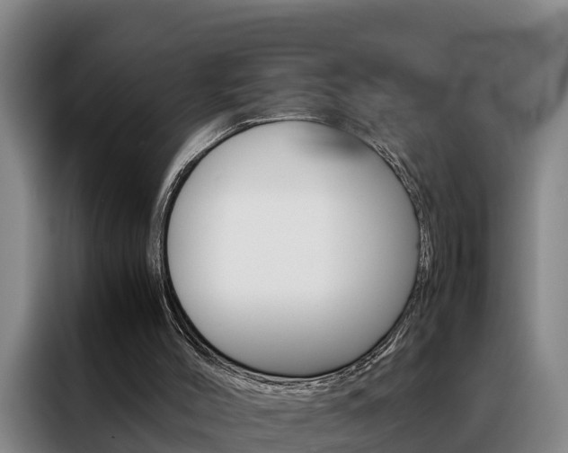 X0000088400004200705220831