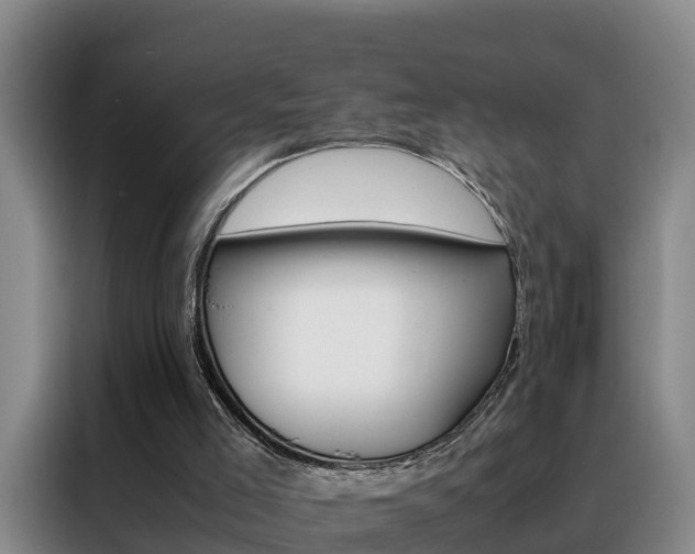 X0000088400005200705220831
