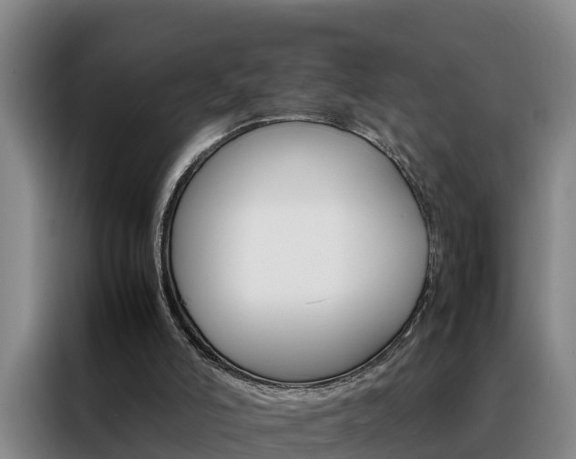 X0000088400006200705220831