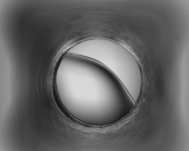 X0000088400007200705220831