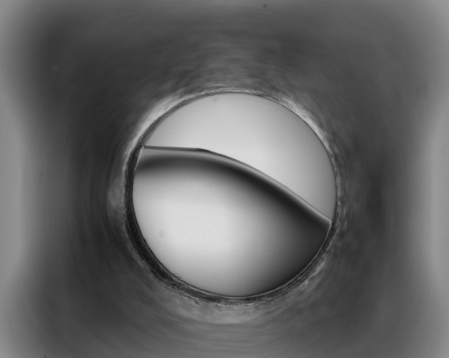X0000088400008200705220831