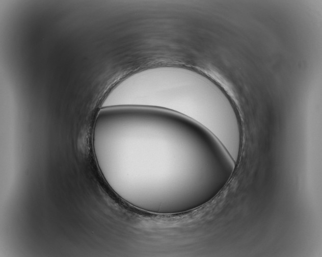 X0000088400009200705220831