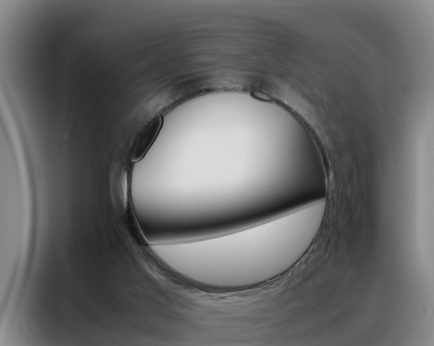 X0000088400013200705220831
