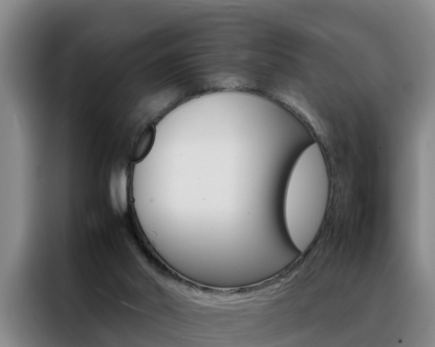 X0000088400014200705220831