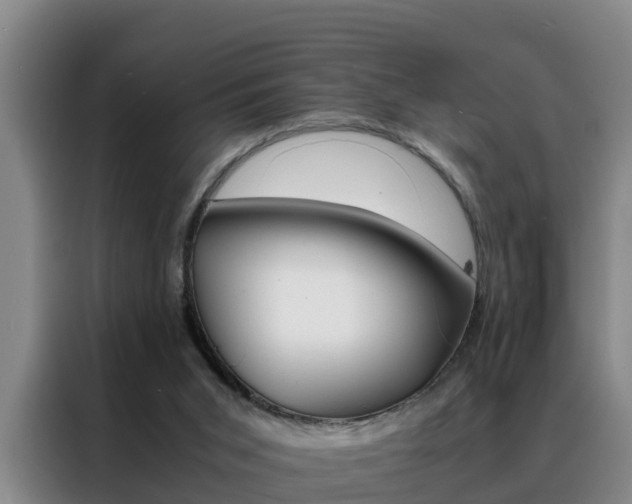 X0000088400015200705220831