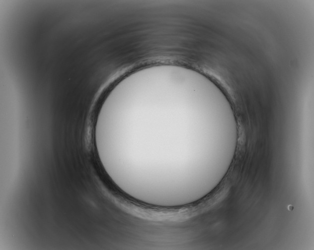 X0000088400016200705220831