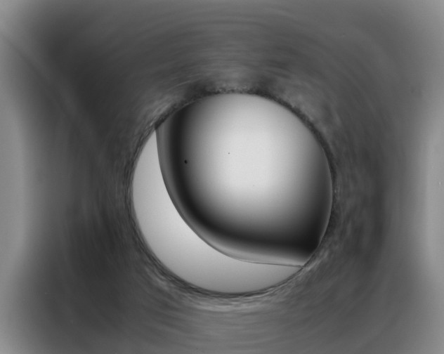 X0000088400017200705220831