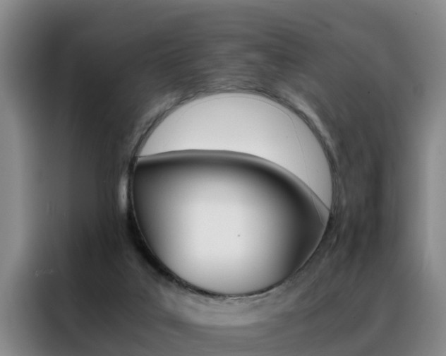 X0000088400019200705220831