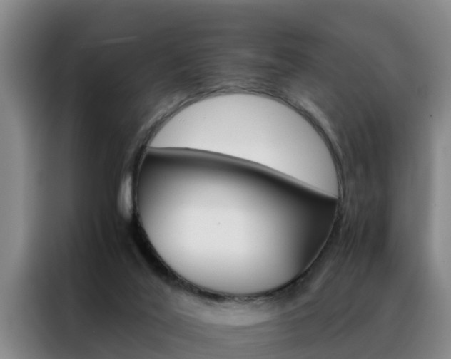 X0000088400020200705220831
