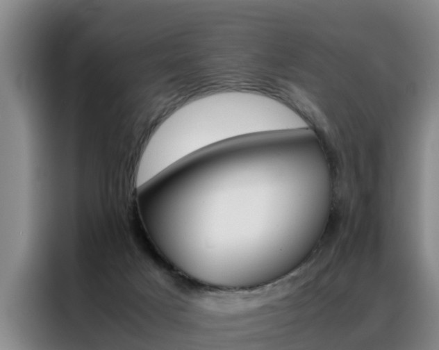 X0000088400025200705220830