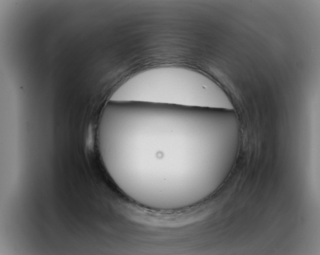 X0000088400026200705220830