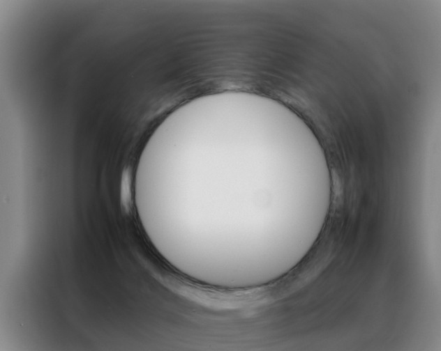 X0000088400028200705220830