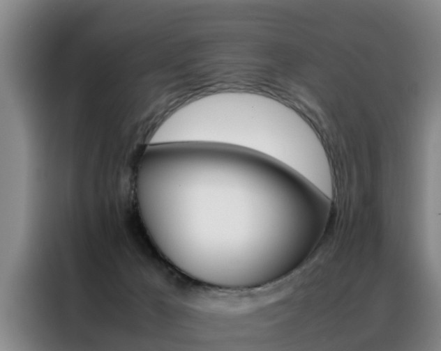 X0000088400029200705220830