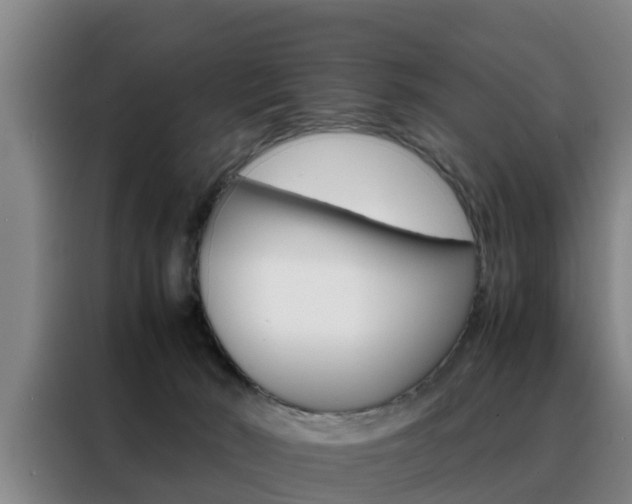 X0000088400030200705220830