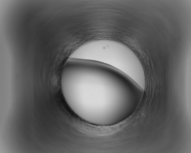 X0000088400031200705220830