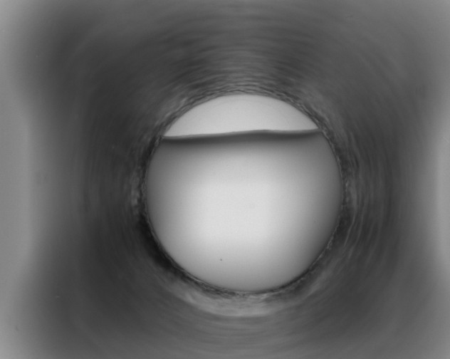 X0000088400032200705220830