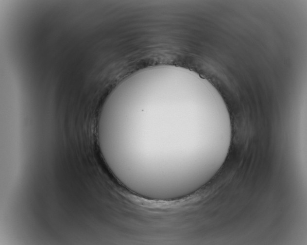 X0000088400034200705220830