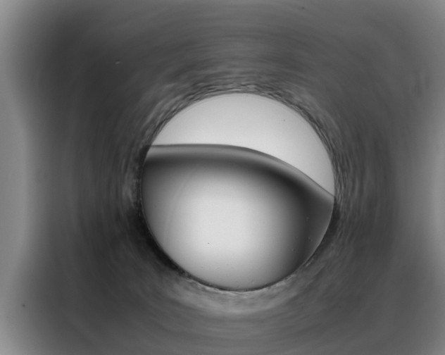 X0000088400035200705220830