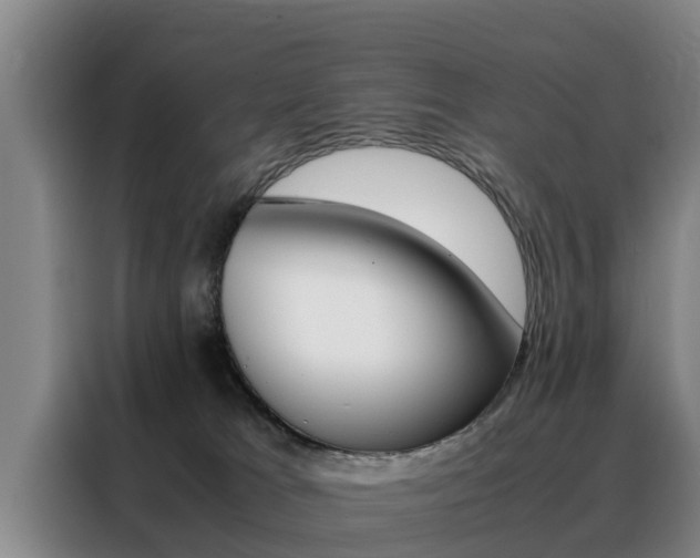 X0000088400037200705220830