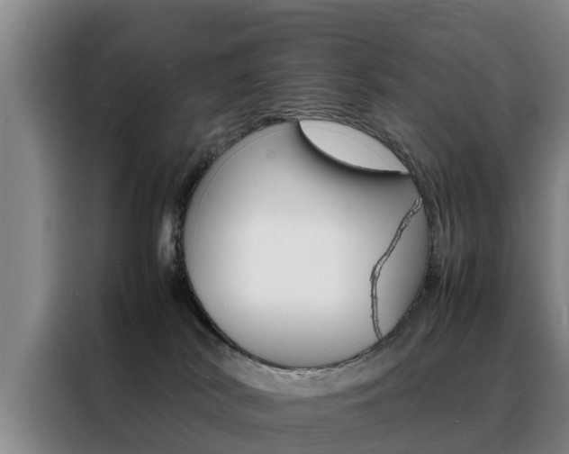 X0000088400038200705220830