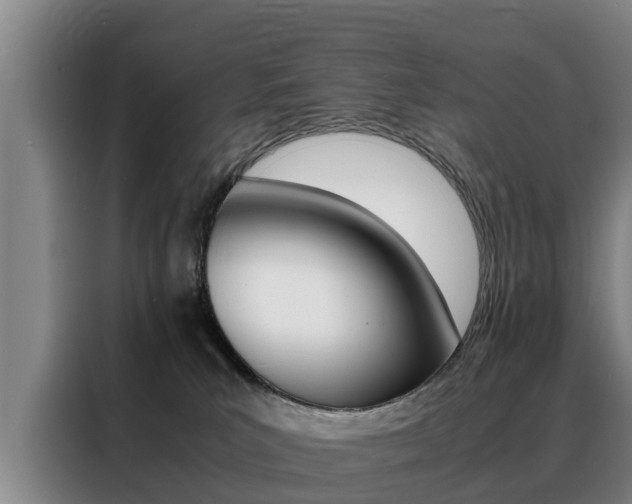 X0000088400039200705220830