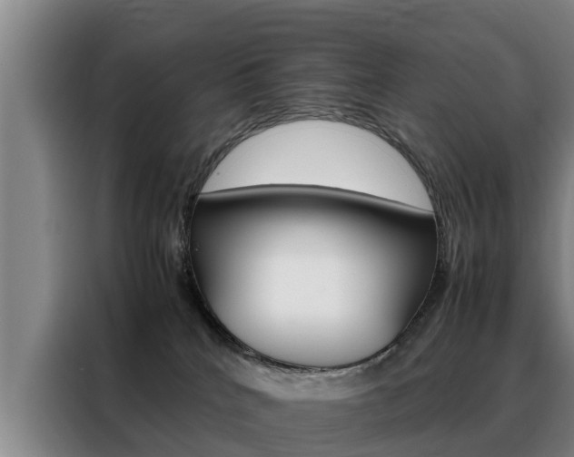X0000088400040200705220830