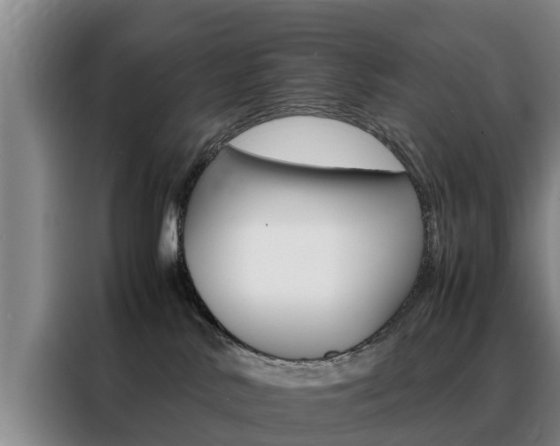 X0000088400042200705220830