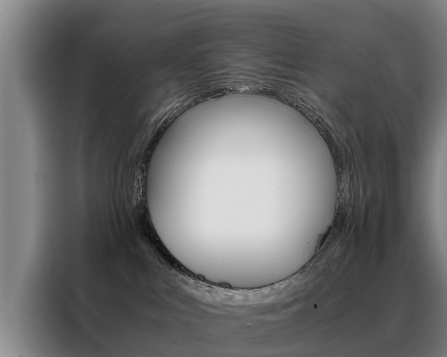 X0000088400043200705220830