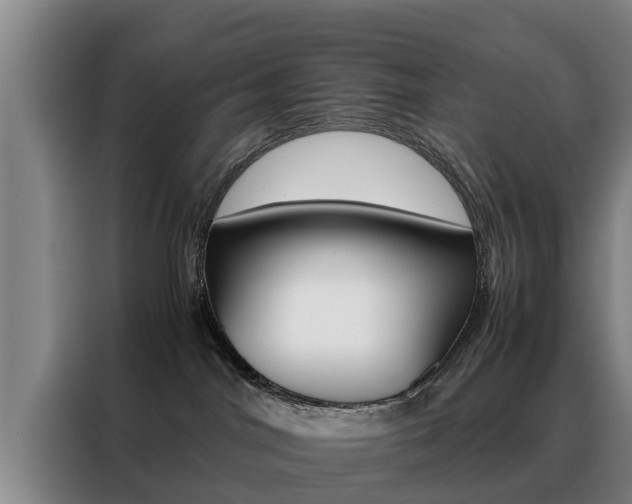 X0000088400044200705220830