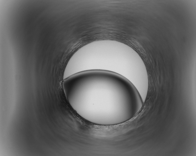 X0000088400045200705220830