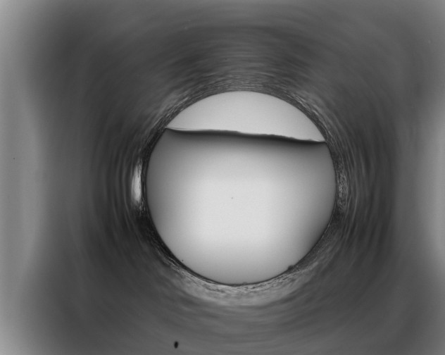 X0000088400046200705220830