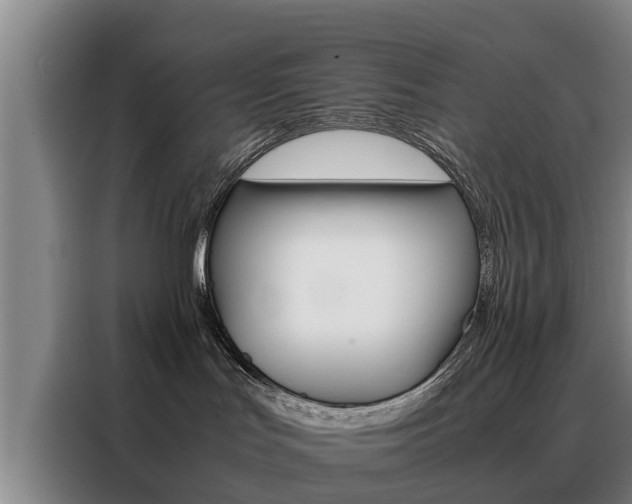 X0000088400047200705220830