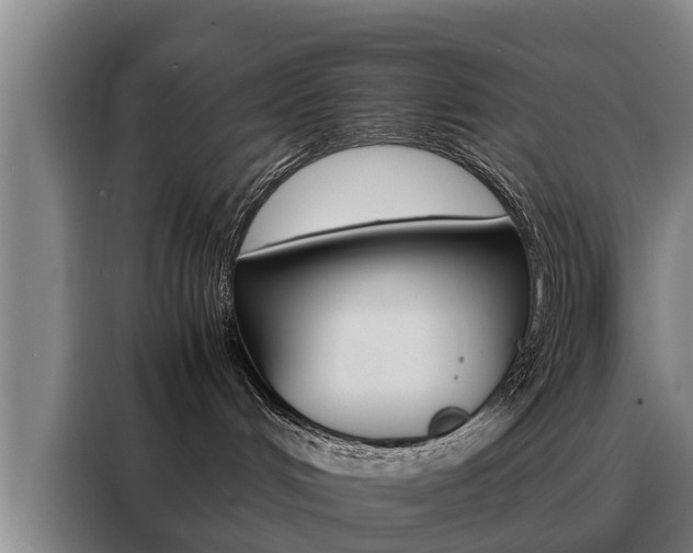 X0000088400048200705220830