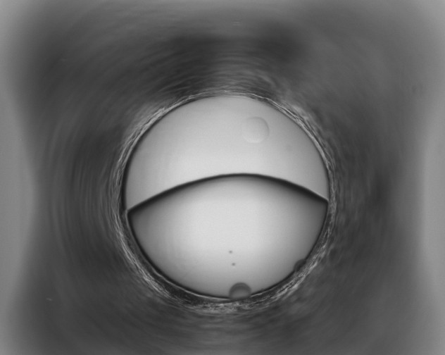 X0000088400049200705220830
