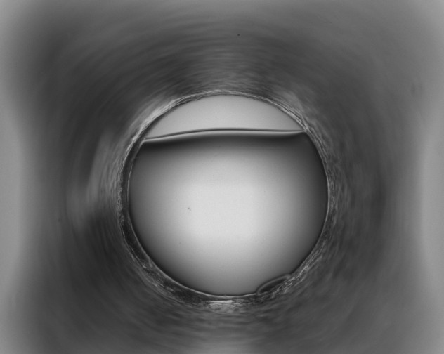 X0000088400050200705220830