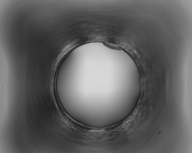 X0000088400051200705220830