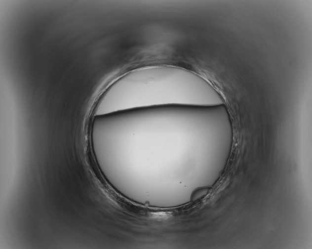 X0000088400053200705220830