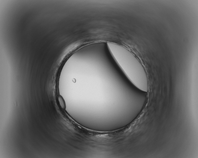 X0000088400054200705220830
