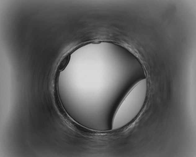 X0000088400055200705220830