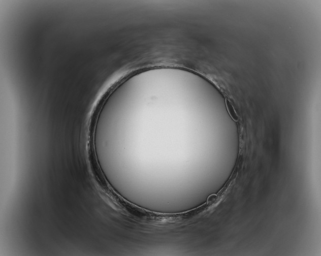 X0000088400056200705220830