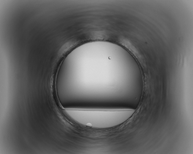 X0000088400058200705220830