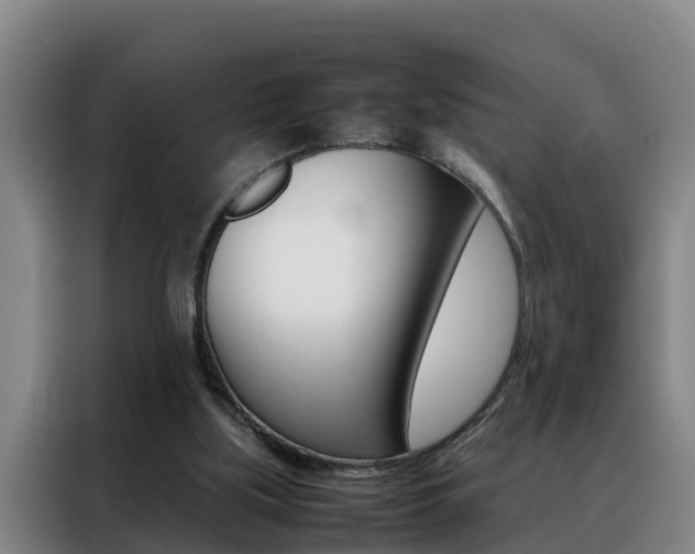 X0000088400059200705220830